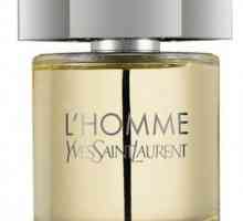 Parfum bărbați Yves Saint Laurent: o revizuire a liniei L`Homme