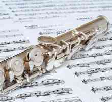 Instrumente muzicale. Ce este un flaut?