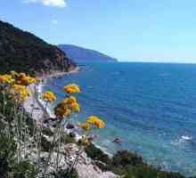 Cape Martyan - rezervație naturală a coastei sudice a Crimeei. Fotografii și recenzii ale…