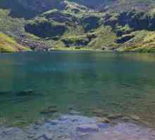 Mzy este un lac din Abhazia. Descrierea rezervorului, caracteristicile sale, locația și fapte…