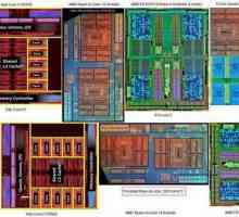 Ce afectează numărul de nuclee de procesoare? Procesor multi-core