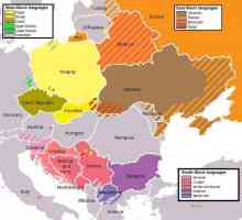 Pe ce ramuri sunt divizate popoarele slave? Popoarele slavice antice și moderne