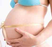 Ce lună apare abdomenul în timpul sarcinii