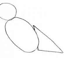 Pe un exemplu, vom învăța cum să desenezi o vrabie în creion pas cu pas