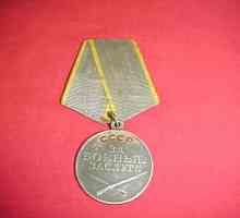 Premiul eroilor. Medalii pentru realizări militare