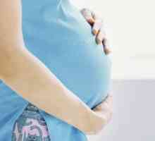 Stomac abdominal pentru simularea sarcinii - o prezentare generală, caracteristici, tipuri și…