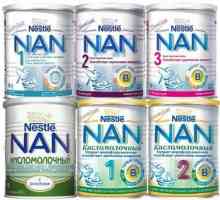 `Nan-1`: comentarii. NAN - hrană pentru copii