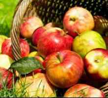 Bea din mere: rețete de gătit