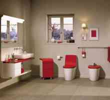 Roca podea și toalete pandantiv: clienți clienți