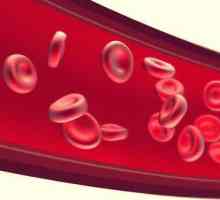 Încălcarea fluxului sanguin în timpul sarcinii: cauze, simptome, tratament