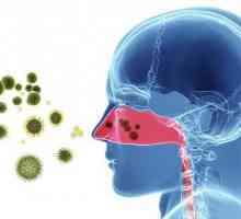 Rasește nasul și strănutul fără febră: cauze posibile, tratament