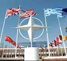 NATO: numărul trupelor și armelor