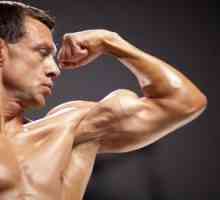 Culturism natural: mușchii fără steroizi. Program de formare