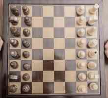 Învață să joci șah de la zero
