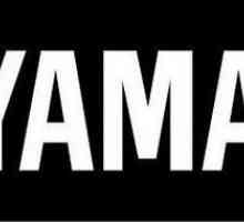 Yamaha EPH-100 Căști: o prezentare generală, descriere, caracteristici și comentarii ale…