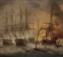 Navarino luptă. O bătălie navală majoră din 1827. rezultate