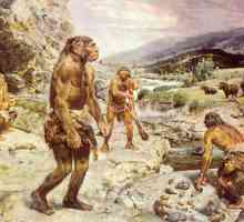 Neanderthal este ... Oamenii vechi sunt neanderthali