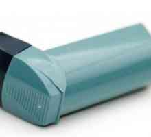 Care este diferența dintre un nebulizator și un inhalator? Vom afla!