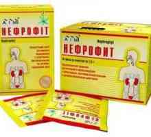 `Nephrofit`: instrucțiuni de utilizare, Comentarii și prețuri
