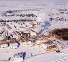 Нефтегазоконденсатное месторождение Русское (НГКМ)