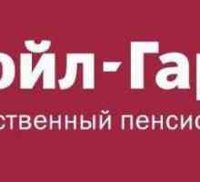 Fondul de pensii nestatal "Lukoil-Garant": recenzii ale clienților
