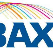 Boiler defect `Baxi`. Repararea cazanelor pe gaz `Baxi`
