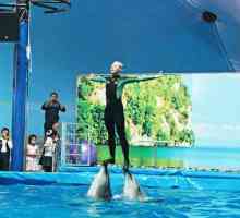 `Nemo` - un dolphinarium minunat în Almaty