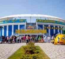 Delfinariul "Nemo" din Feodosia: fotografie, orar și prețuri