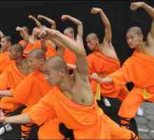 Performanțe neobișnuite și imprevizibile ale filmului "călugări Shaolin"