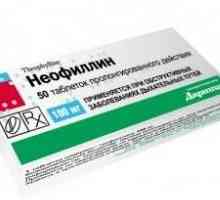 Neofilină (tablete): instrucțiuni de utilizare. "Neofilin 100 mg": descrierea preparatului