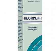 `Neomycin`: instrucțiuni de utilizare, descriere, recenzii, preț