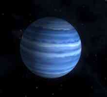Neptun este o planetă numită de Soare. Fapte interesante