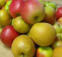 Câteva rețete pentru hostess: cum se închide compotul de mere pentru iarnă