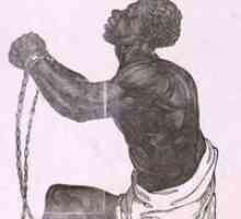 Mai multe aboliri prelungite de sclavie în Statele Unite