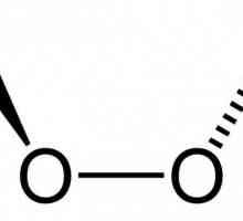 Tratament neconvențional: peroxidul de hidrogen de către Neumyvakin. Tratamentul cu peroxid de…