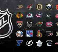 NHL - este ... NHL: decodare, jucători, istorie