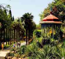 Grădina botanică Nikitsky, Yalta