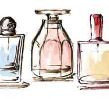 Parfumerie de nișă este ... Parfumerie de nișă: comentarii, prețuri, fotografii