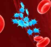 Scăderea numărului de trombocite din sânge: cauze și modalități de creștere