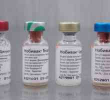 `NOBIVAK` DHPPI este un vaccin modern pentru câini