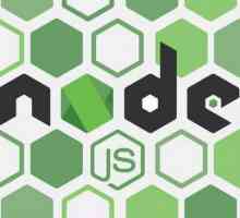 Node.js pentru începători: descriere, manual, caracteristici