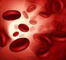 Norma de hemoglobină la un copil de până la un an este cel mai important indicator