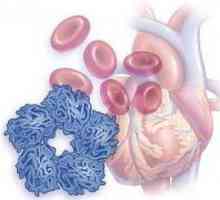 Norma CRP în analiza biochimică a sângelui