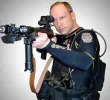 Norvegianul terorist Andreas Breivik Bering: biografie, portret psihologic