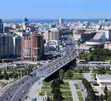 Novosibirsk: 154 regiune. sinopsis