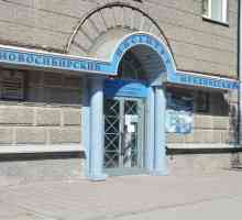 Novosibirsk Institutul de Drept (sucursala) a TSU