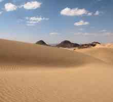 Нубийская пустыня: растительный мир, климат, описание