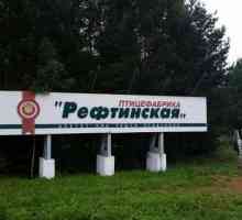 OJSC Fabrica de pasari de curte `Reftinskaya`: descriere, adresa, produse