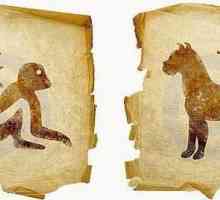Monkey and Dog: compatibilitate pe horoscopul estic