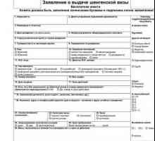 Un eșantion de completare a unui formular de cerere de viză în Republica Cehă, prin invitație